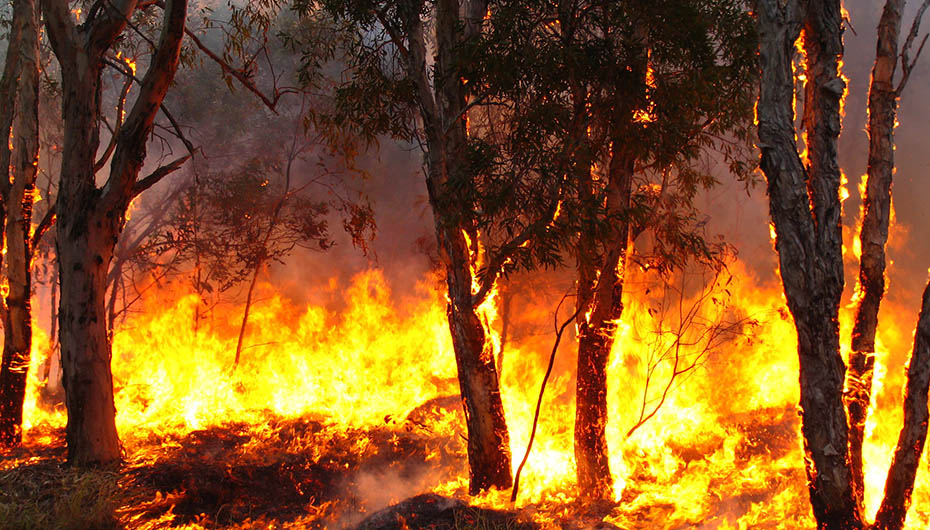 Adaptation gap 2020 and the issues of climate change disaster health nexus